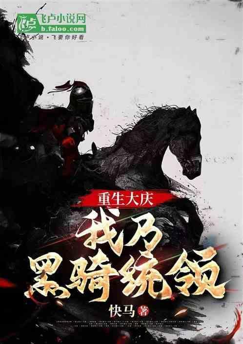 我成黑骑统领
