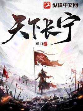天下长安电视剧在线观看完整版