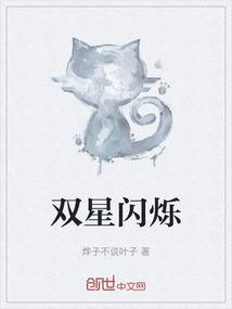 闪翼双星是什么意思