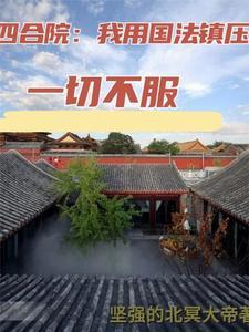 重生1956红色年代