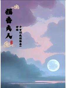 报告夫人免费阅读11