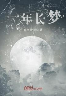一年的梦