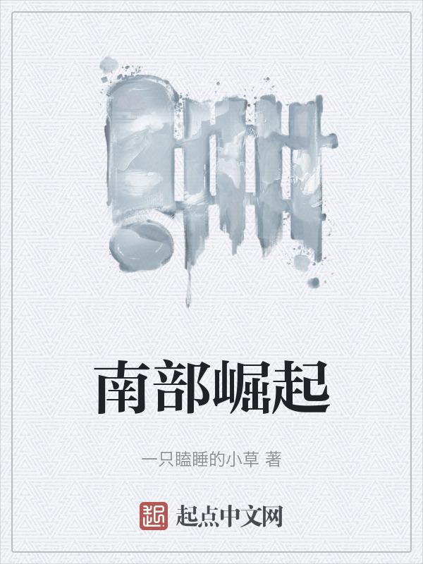 南部崛起的感想与收获