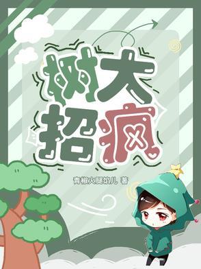 树大招风讲解