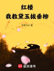 红楼之我是黛玉她哥踏雪红梅
