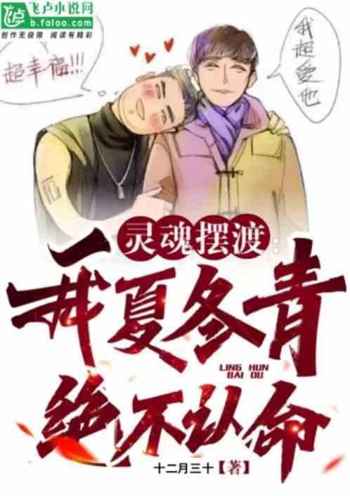灵魂摆渡之夏冬青结局