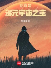 多元宇宙级别