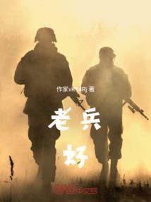 老兵好帅报告文学