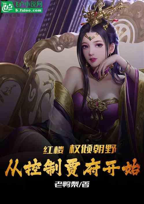红楼之权倾