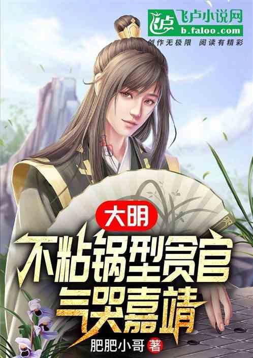 大明王朝不粘锅