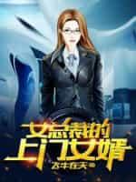 女总裁的上门女婿完结版
