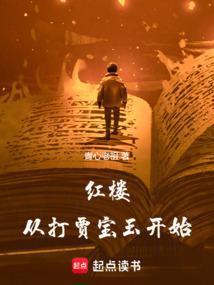 从红楼梦开始