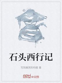 石头记事视频 西瓜视频