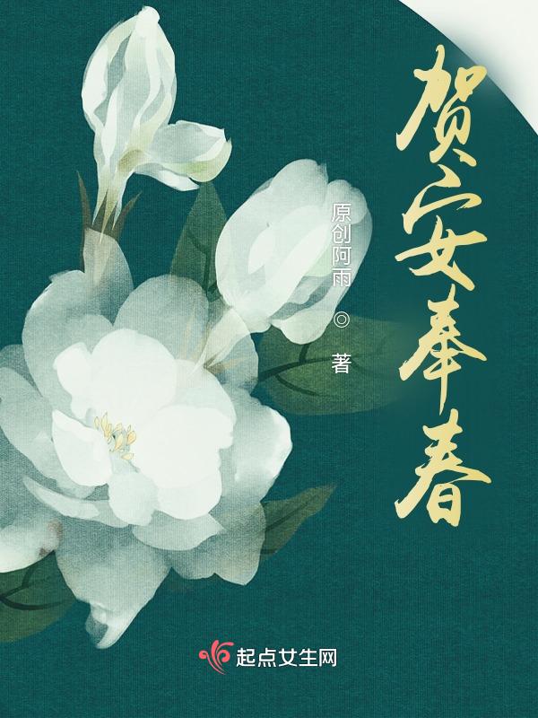 贺春年将军简介