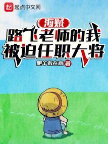 海贼王路飞之