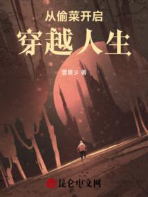 偷莱系统