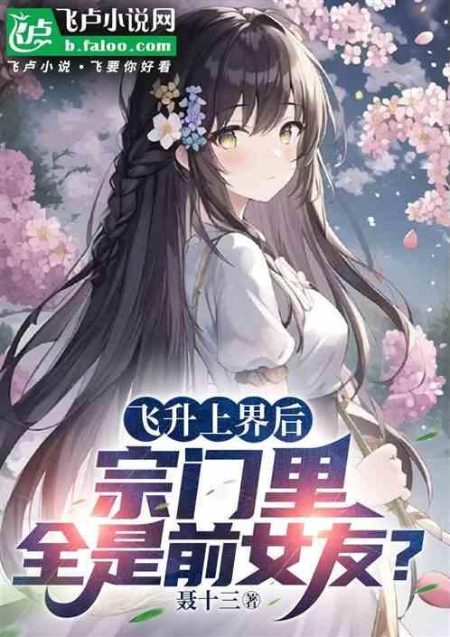 飞升上界那一日