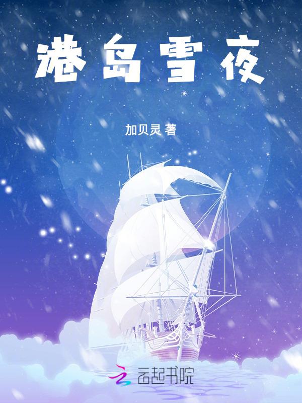 港岛雪夜45章