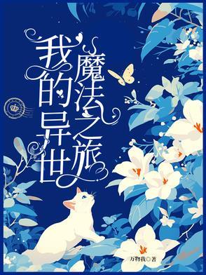 我的异世界之旅攻略2