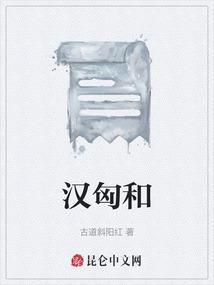 汉匈和亲次数最多