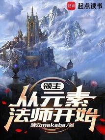 魔兽元素领主实力
