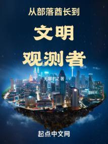 从部落酋长到文明观测者的
