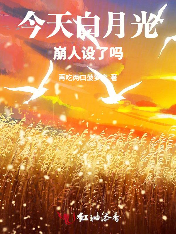 今晚白月光