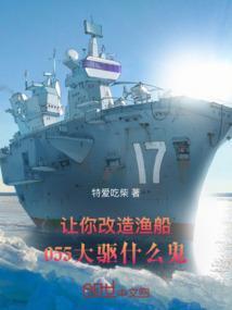 055大驱什么水平