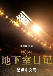 地下拳击什么意思