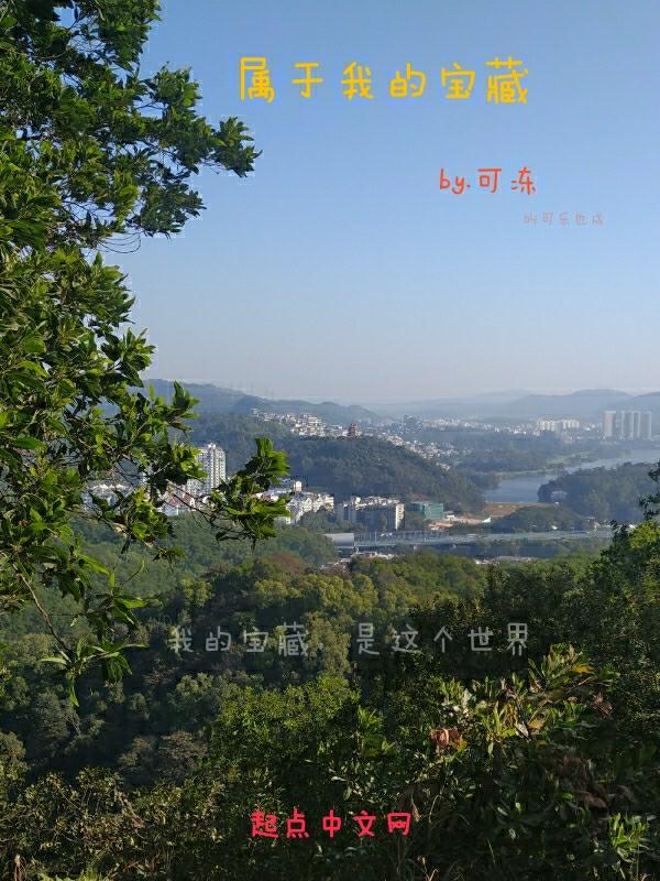 我的宝藏600字