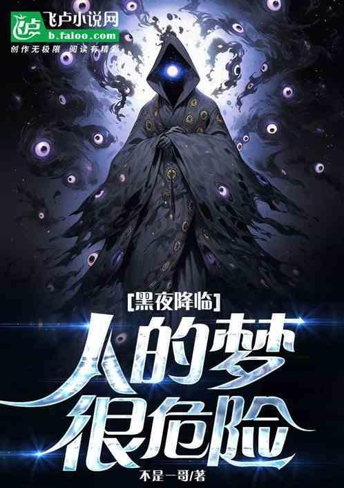 黑夜降临什么