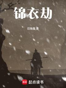锦衣劫txt