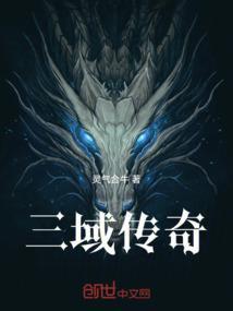 霸域盛世传奇