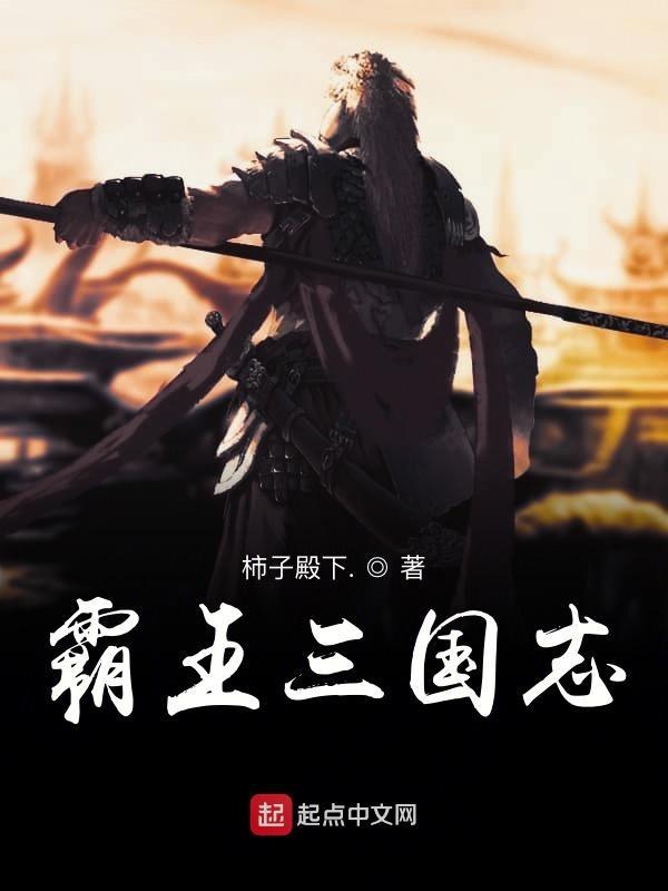 霸王三国志手机版
