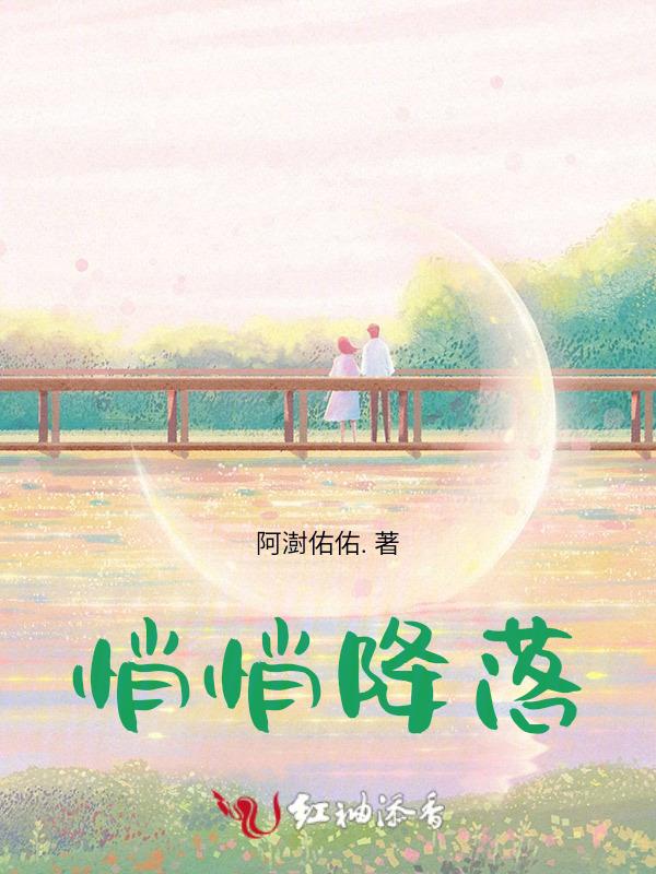 悄悄降落免费阅读