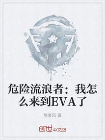 危险流浪者动画片