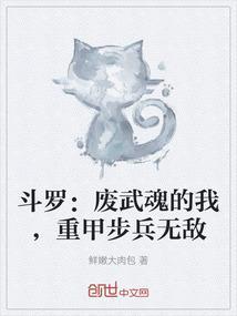 重生斗罗武魂为剑的