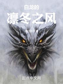 白龙凛冬领主