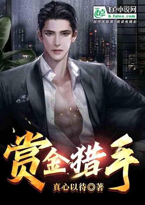 赏金猎手澜多少钱