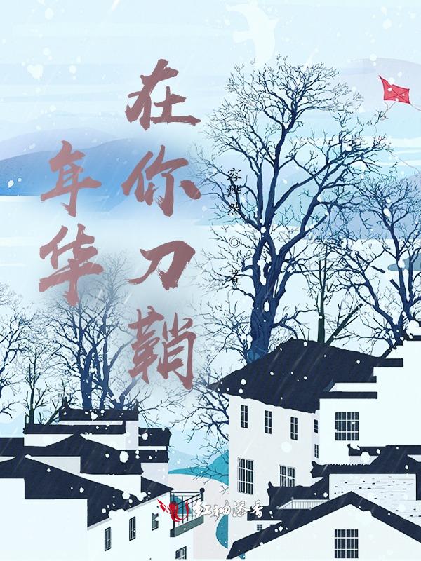 年华mv