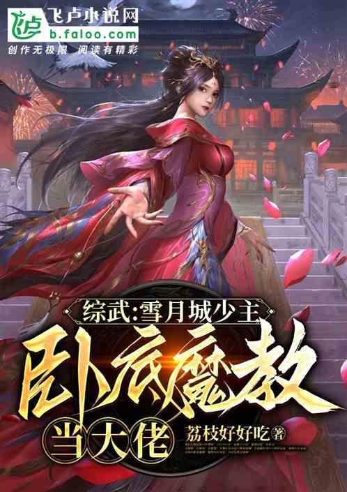 综武侠雪