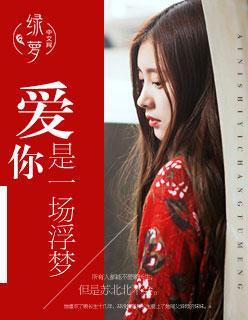 爱你是一场梦歌词