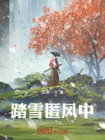 踏雪访什么