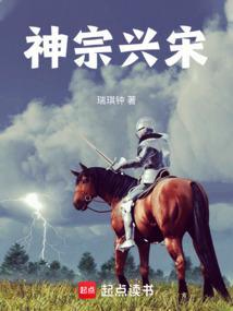 1069年宋神宗任用