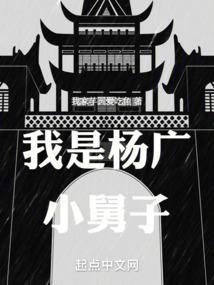 我是杨广全本