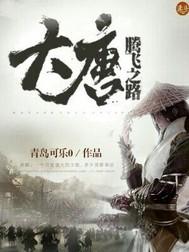大唐腾飞之路有声