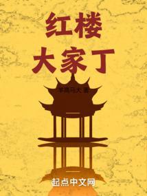 红楼大家丁笔趣阁最新章节