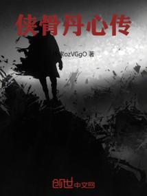 侠骨丹心后续