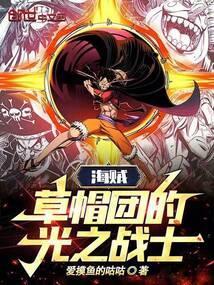 草帽海贼团大战海军