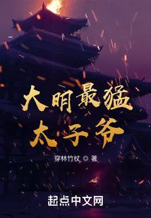大明第一太子